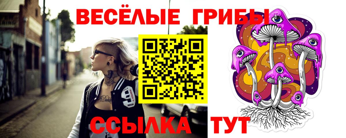 Псилоцибиновые грибы Psilocybe Бугуруслан